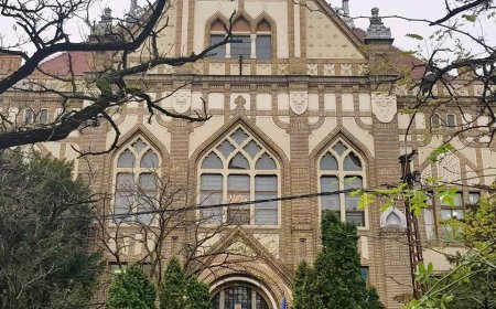 PROGRAM DE FORMARE LA COLEGIUL NAȘIONAL PEDAGOGIC „CARMEN SYLVA”