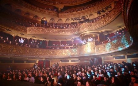 Teatrul Național din Timișoara după 20 de ani