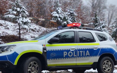 Accident pe DN 6, la Topleț: doi pasageri transportați la spital