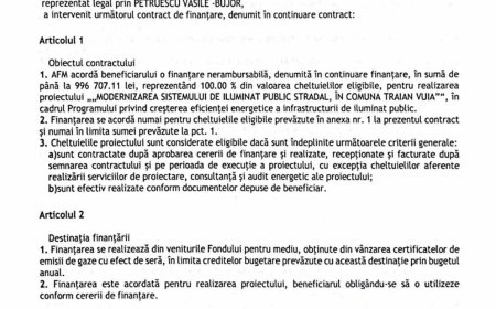 Iluminatul stradal din Traian Vuia va fi modernizat