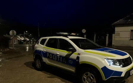 Descoperire șocantă la Timișoara: 400 kg de artificii interzise