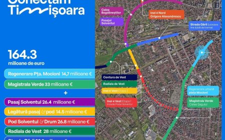 R. LAȚCĂU: "CONECTĂM TIMIȘOARA!"