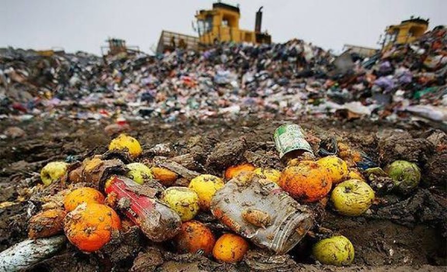 CUM POT TIMIȘORENII SĂ NU CADĂ ÎN CAPCANA RISIPEI ALIMENTARE DE CRĂCIUN