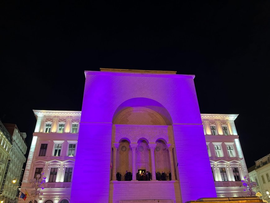 Timișoara se alătură campaniei #PurpleNightRomania