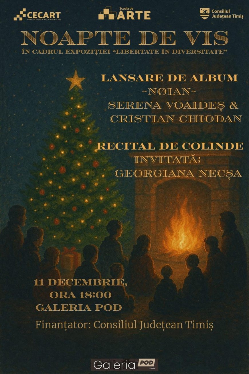 NOAPTE DE VIS LA TIMIȘOARA