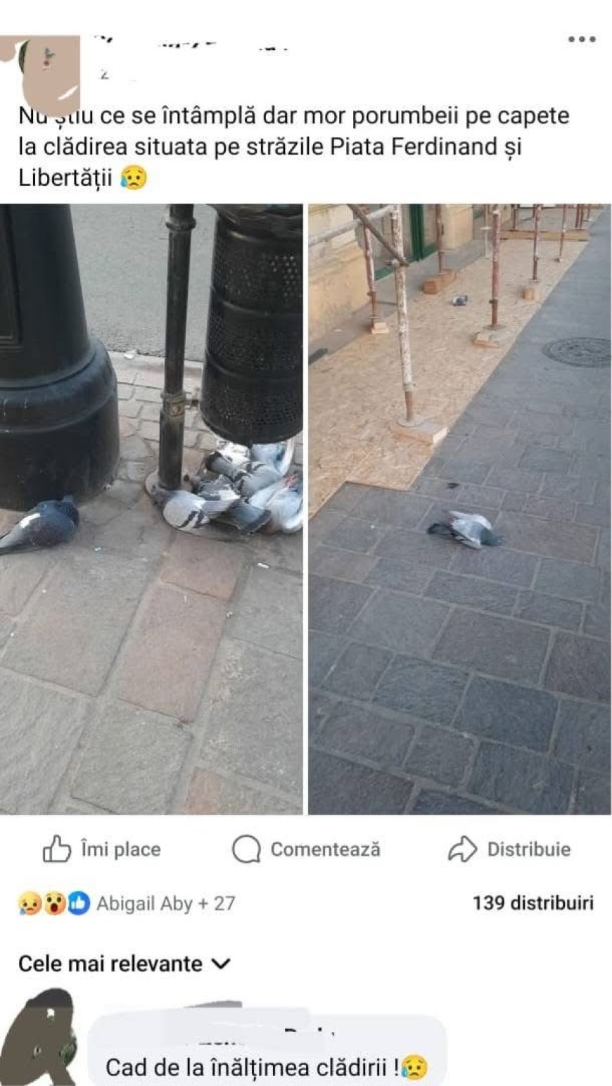 Anchetă cerută după moartea porumbeilor în Oradea