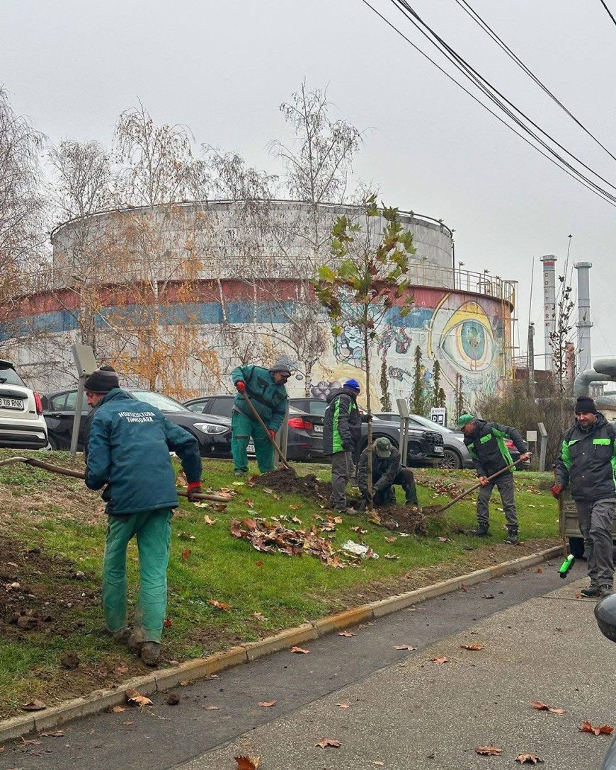 Horticultura continuă plantările și întreținerea spațiilor verzi