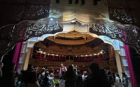 SE DESCHID CULISELE OPEREI NAȚIONALE ROMÂNE DIN TIMIȘOARA
