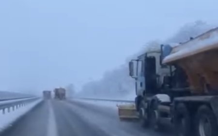 VIDEO | Intervenții masive pe drumurile din vest