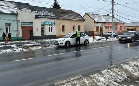 COD GALBEN ÎN TIMIȘ: POLIȚIA, ÎN TEREN PENTRU SIGURANȚA TRAFICULUI RUTIER