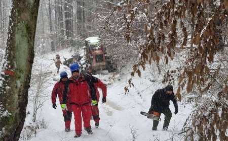 Generatoare trimise la Pietroasa după aproape 48 de ore fără curent