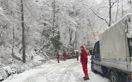 Intervenții în desfășurare la Tomești după ninsorile abundente