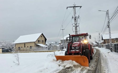Ninsori abundente la Caransebeș