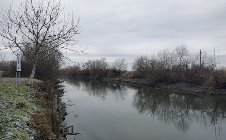 Specialiștii ABA Banat monitorizează permanent situația cursurilor de apă și acumulările din areal