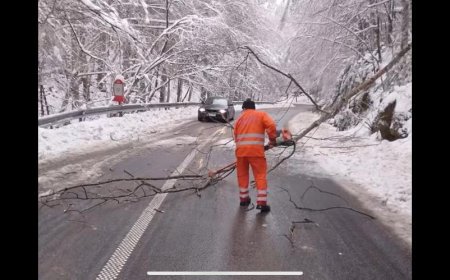 VIDEO! ECHIPELE DRDP SE LUPTĂ CU DEZASTRUL PROVOCAT DE NATURĂ