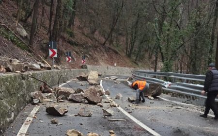 ALUNECĂRI DE TEREN ÎN CARAȘ-SEVERIN