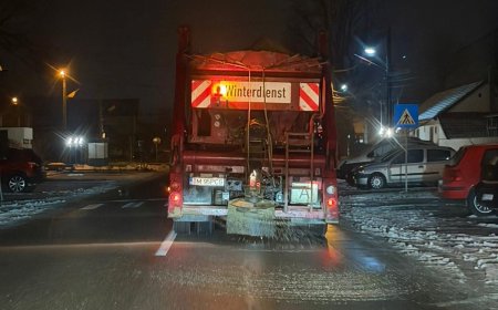 INTERVENȚII DE DESZĂPEZIRE ÎN GIROC, PE FONDUL NINSORILOR ȘI AL TEMPERATURILOR SCĂZUTE
