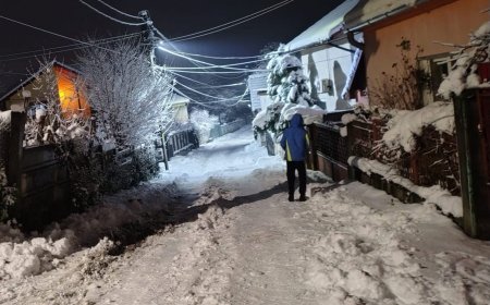 Măsuri dispuse de CJSU Hunedoara în contextul ninsorilor
