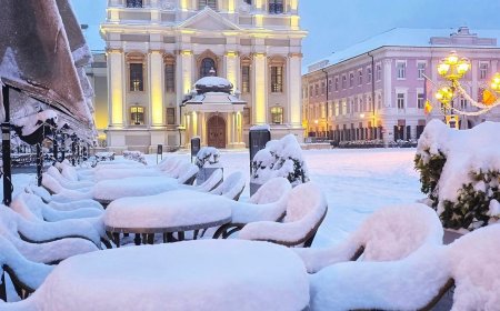 TIMIȘOARA SUB ZĂPADĂ