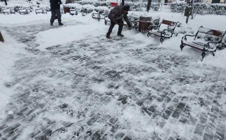VIDEO! DRUMURILE DIN TIMIȘOARA, DESZĂPEZITE