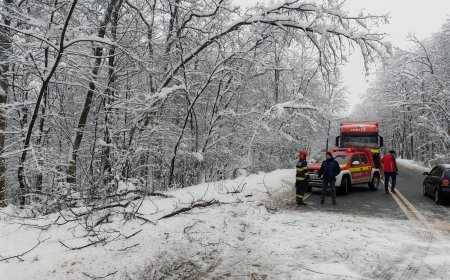 Situație stabilă în județul Timiș, în condiții de ger