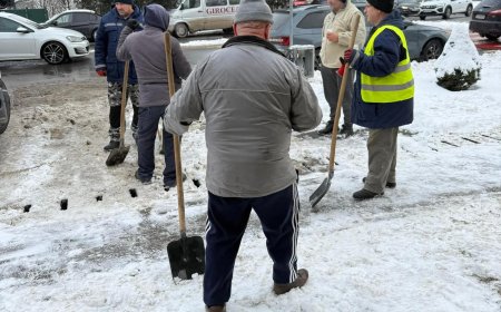 DAN VÎRTOSU FACE APEL LA SPIRITUL DE COMUNITATE