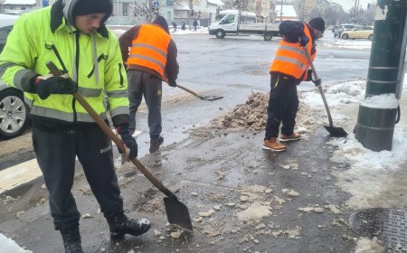 ECHIPELE DE DESZĂPEZIRE CURĂȚĂ TOATE STRĂZILE DIN TIMIȘOARA