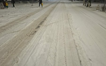 VIDEO! PRIMARUL ORAȘULUI MOLDOVA NOUĂ, DESPRE SUBIECTELE MOMENTULUI