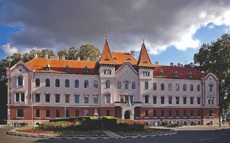 ÎNCĂLCARE GRAVĂ A LEGII ÎN CONSILIUL LOCAL LUGOJ?