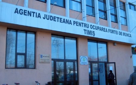 Rata șomajului la finalul anului 2025