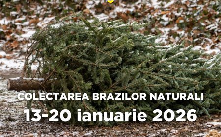 SE PREIAU BRAZII NATURALI DIN GHIRODA