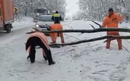 VIDEO | Trafic deviat pe A1 și DN 68A