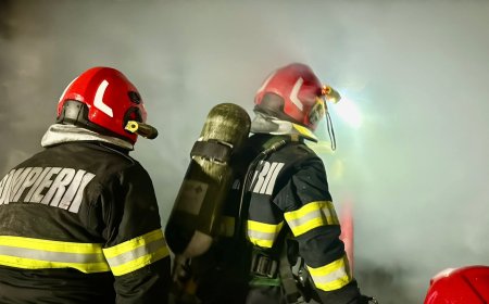 BILANȚUL INCENDIILOR DIN TIMIȘ