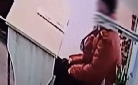 VIDEO | Furtul donațiilor pentru câini, surprins pe camere