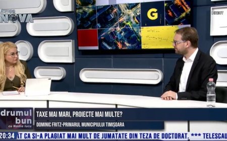 Dominic Fritz, nemulțumit de ANI