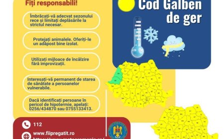 Cod galben de ger în județul Timiș