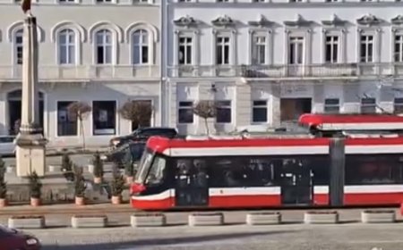 VIDEO | Transportul public din Arad ar putea deveni gratuit
