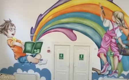 "SUFLETE COLORATE"- UN PROIECT DE SUFLET PENTRU COSMIN CHIRA