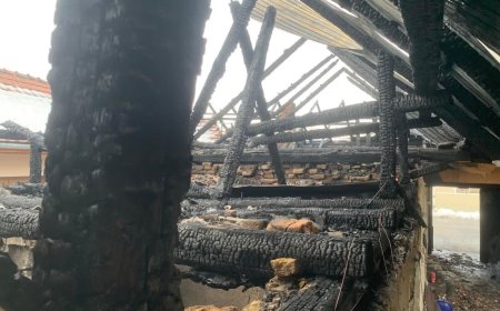 Incendiu la Eftimie Murgu: trei case afectate
