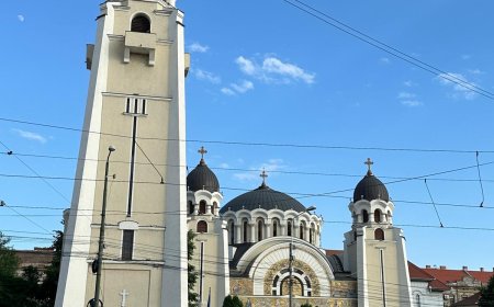 APEL PENTRU RESTURAREA ANSAMBLULUI PICTURAL DIN BISERICA „NAȘTEREA MAICII DOMNULUI” IOSEFIN