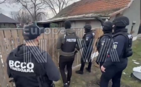 AMPLE PERCHEZIȚII ÎN COMUNA CENEI! ANCHETATORII AU DESCINS ÎN MAI MULTE LOCUINȚE