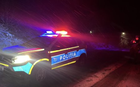 Șoferi beți pe șoselele din Arad