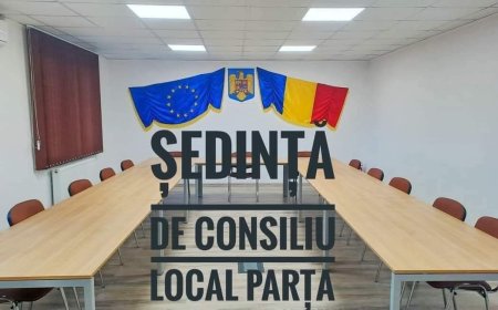 ȘEDINȚĂ DE CONSILIU LOCAL LA PARȚA CU PUBLICUL