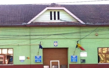BACTERII ÎNTR-O CIȘMEA DIN RECAȘ