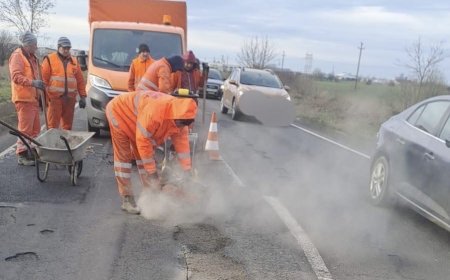 Lucrări pe D.N. 79 între Arad și Chișineu-Criș