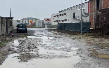 DUMBRĂVIȚA SE INUNDĂ