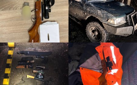 PRINS BEAT LA VOLAN, FĂRĂ PERMIS ȘI CU O ARMĂ DE VÂNĂTOARE