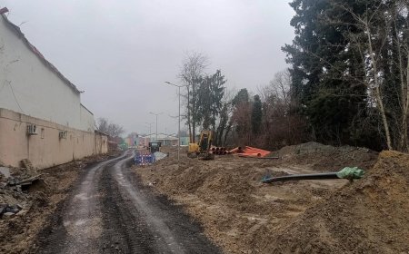 COPIII DIN LUGOJ AJUNG LA CREȘĂ PRIN NOROI