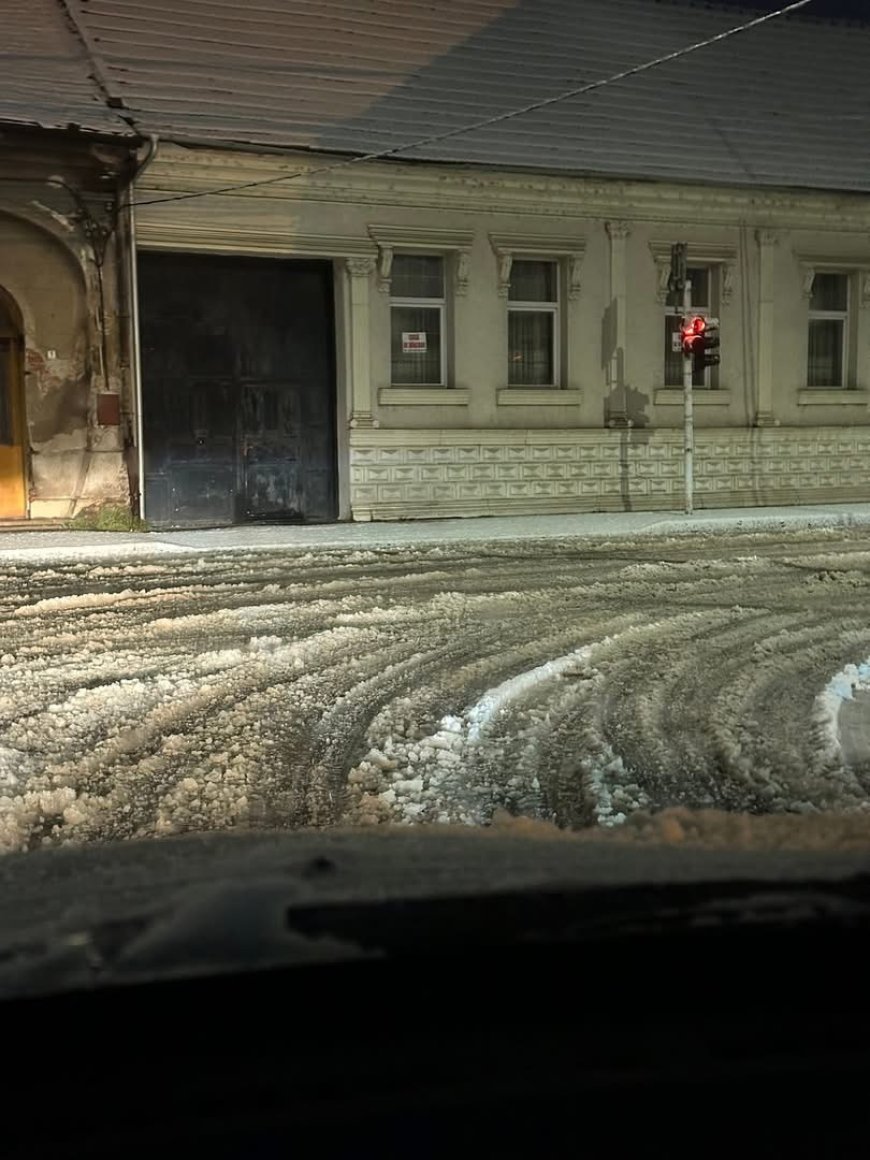 ADMINISTRAȚIA LOCALĂ DIN LUGOJ “SURPRINSĂ” DE CĂDEREA ZĂPEZII…ÎN IANUARIE
