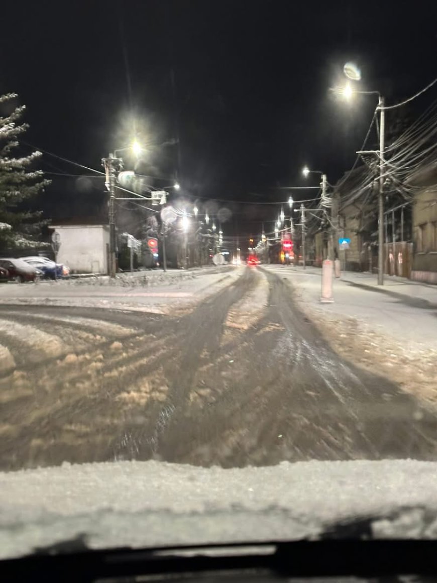 ADMINISTRAȚIA LOCALĂ DIN LUGOJ “SURPRINSĂ” DE CĂDEREA ZĂPEZII…ÎN IANUARIE